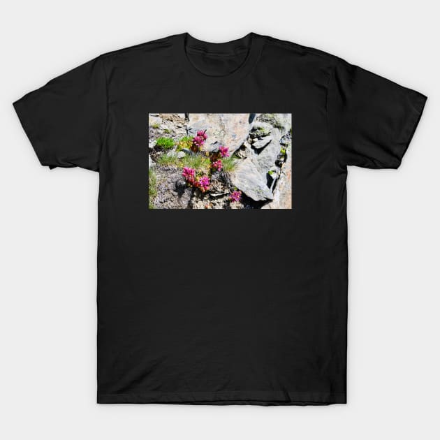 Rock & flowers Swiss Alps T-Shirt by Wolf Art / Swiss Artwork Photography